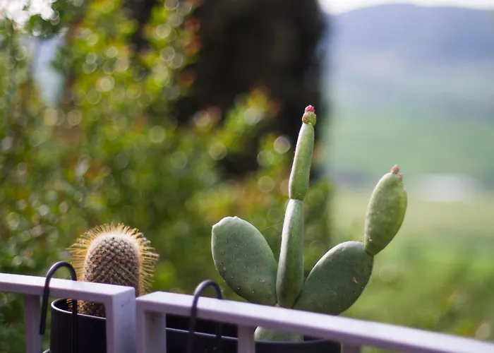 Appartamento Con Vista - Montepulciano